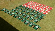 Prezentacja wszystkich koszulek na trawniku organizatora